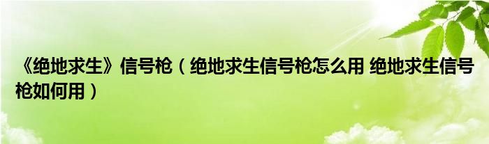 《绝地求生》信号枪（绝地求生信号枪怎么用 绝地求生信号枪如何用）