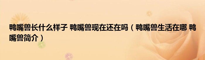 鸭嘴兽长什么样子 鸭嘴兽现在还在吗（鸭嘴兽生活在哪 鸭嘴兽简介）