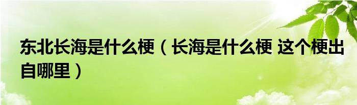 东北长海是什么梗（长海是什么梗 这个梗出自哪里）