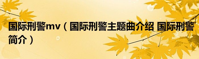 国际刑警mv（国际刑警主题曲介绍 国际刑警简介）