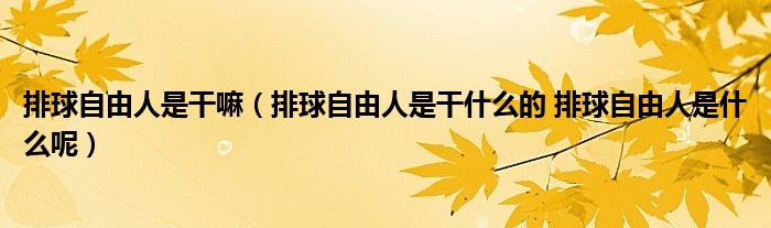 排球自由人是干嘛（排球自由人是干什么的 排球自由人是什么呢）