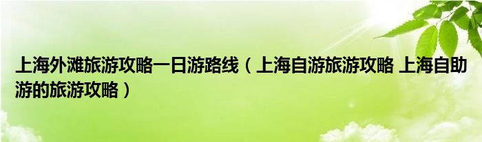 上海外滩旅游攻略一日游路线（上海自游旅游攻略 上海自助游的旅游攻略）