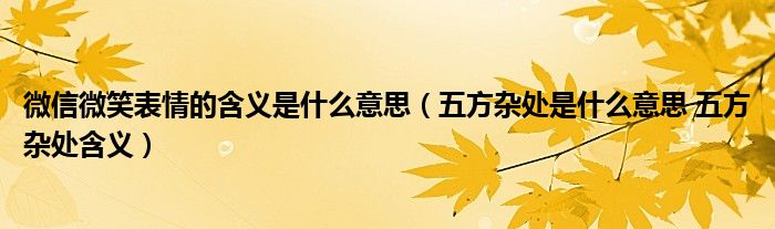 微信微笑表情的含义是什么意思（五方杂处是什么意思 五方杂处含义）