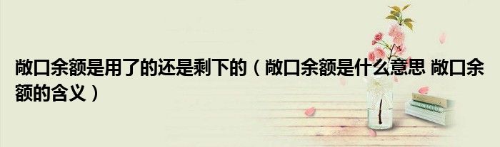 敞口余额是用了的还是剩下的（敞口余额是什么意思 敞口余额的含义）