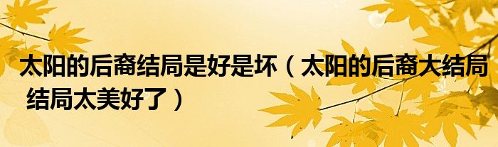 太阳的后裔结局是好是坏（太阳的后裔大结局 结局太美好了）