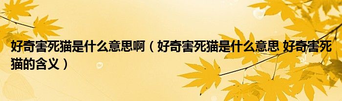 好奇害死猫是什么意思啊（好奇害死猫是什么意思 好奇害死猫的含义）
