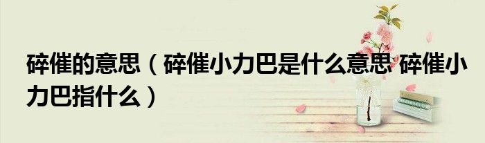 碎催的意思（碎催小力巴是什么意思 碎催小力巴指什么）