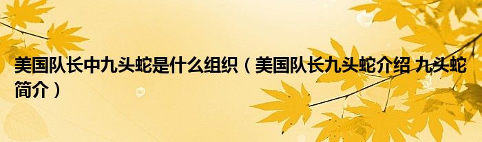 美国队长中九头蛇是什么组织（美国队长九头蛇介绍 九头蛇简介）