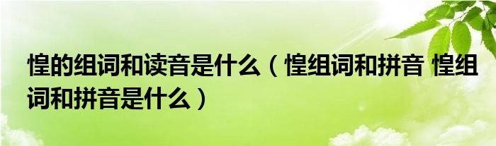惶的组词和读音是什么（惶组词和拼音 惶组词和拼音是什么）
