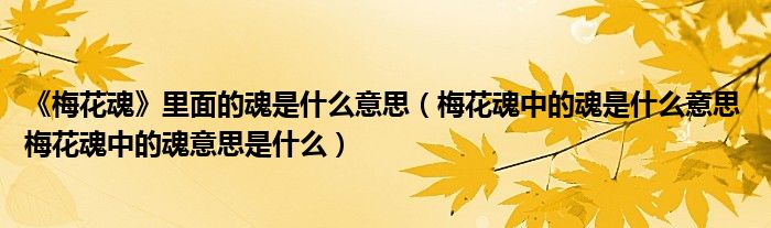《梅花魂》里面的魂是什么意思（梅花魂中的魂是什么意思 梅花魂中的魂意思是什么）