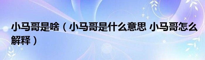 小马哥是啥（小马哥是什么意思 小马哥怎么解释）