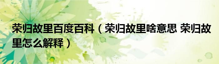 荣归故里百度百科（荣归故里啥意思 荣归故里怎么解释）