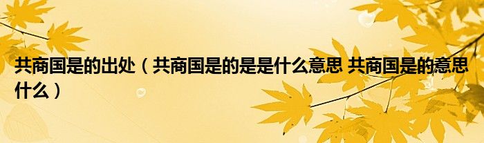 共商国是的出处（共商国是的是是什么意思 共商国是的意思什么）