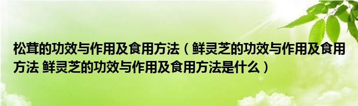 松茸的功效与作用及食用方法（鲜灵芝的功效与作用及食用方法 鲜灵芝的功效与作用及食用方法是什么）