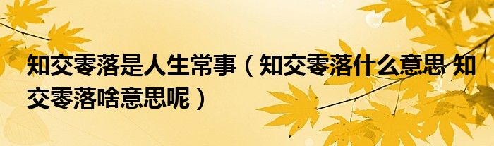 知交零落是人生常事（知交零落什么意思 知交零落啥意思呢）