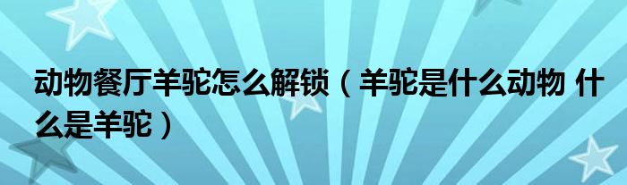 动物餐厅羊驼怎么解锁（羊驼是什么动物 什么是羊驼）