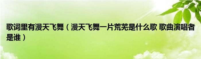 歌词里有漫天飞舞（漫天飞舞一片荒芜是什么歌 歌曲演唱者是谁）