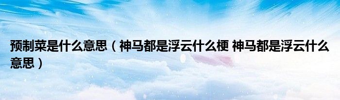 预制菜是什么意思（神马都是浮云什么梗 神马都是浮云什么意思）