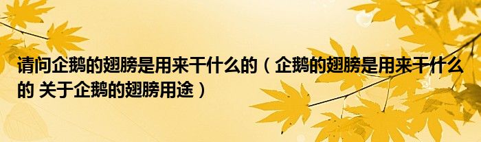 请问企鹅的翅膀是用来干什么的（企鹅的翅膀是用来干什么的 关于企鹅的翅膀用途）