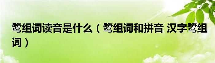 鹭组词读音是什么（鹭组词和拼音 汉字鹭组词）