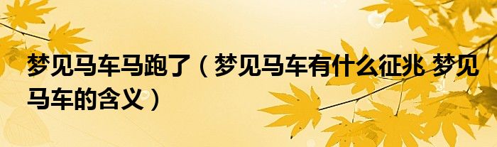 梦见马车马跑了（梦见马车有什么征兆 梦见马车的含义）