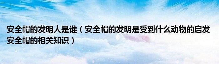 安全帽的发明人是谁（安全帽的发明是受到什么动物的启发 安全帽的相关知识）