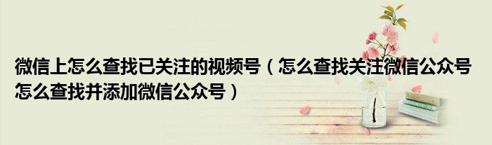 微信上怎么查找已关注的视频号（怎么查找关注微信公众号 怎么查找并添加微信公众号）