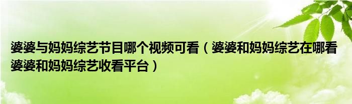 婆婆与妈妈综艺节目哪个视频可看（婆婆和妈妈综艺在哪看 婆婆和妈妈综艺收看平台）