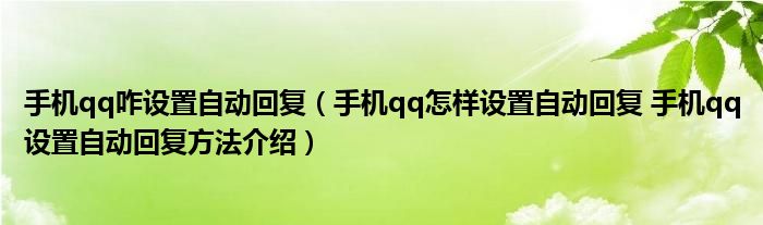手机qq咋设置自动回复（手机qq怎样设置自动回复 手机qq设置自动回复方法介绍）