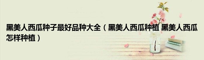 黑美人西瓜种子最好品种大全（黑美人西瓜种植 黑美人西瓜怎样种植）