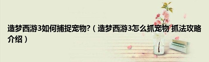 造梦西游3如何捕捉宠物?（造梦西游3怎么抓宠物 抓法攻略介绍）