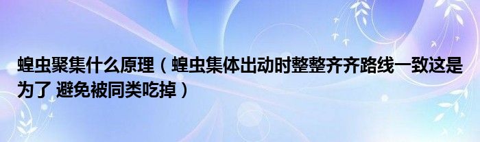蝗虫聚集什么原理（蝗虫集体出动时整整齐齐路线一致这是为了 避免被同类吃掉）