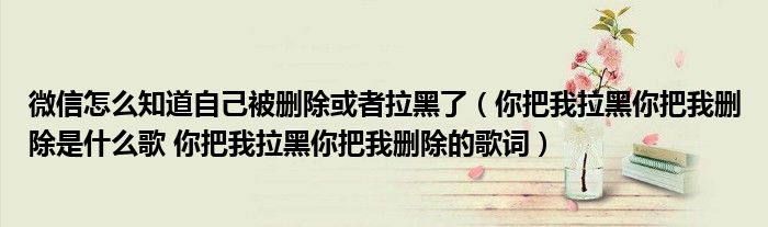 微信怎么知道自己被删除或者拉黑了（你把我拉黑你把我删除是什么歌 你把我拉黑你把我删除的歌词）