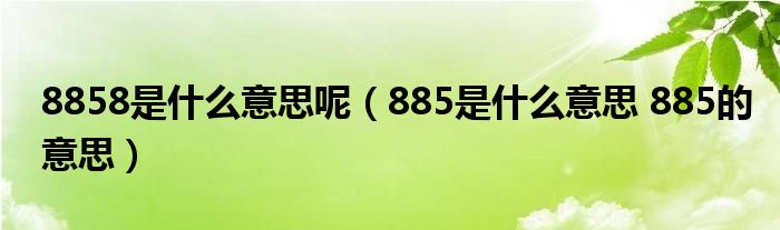 8858是什么意思呢（885是什么意思 885的意思）