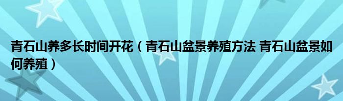 青石山养多长时间开花（青石山盆景养殖方法 青石山盆景如何养殖）