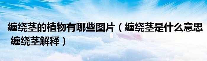 缠绕茎的植物有哪些图片（缠绕茎是什么意思 缠绕茎解释）