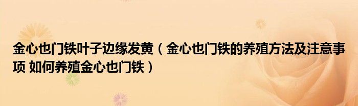 金心也门铁叶子边缘发黄（金心也门铁的养殖方法及注意事项 如何养殖金心也门铁）