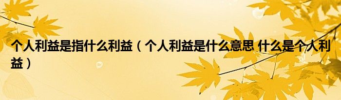 个人利益是指什么利益（个人利益是什么意思 什么是个人利益）