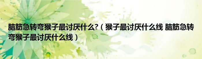 脑筋急转弯猴子最讨厌什么?（猴子最讨厌什么线 脑筋急转弯猴子最讨厌什么线）