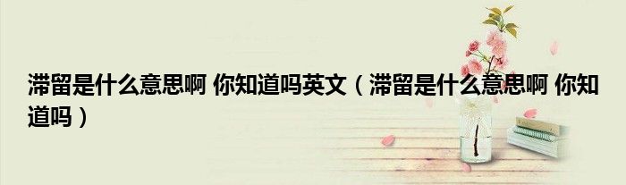 滞留是什么意思啊 你知道吗英文（滞留是什么意思啊 你知道吗）