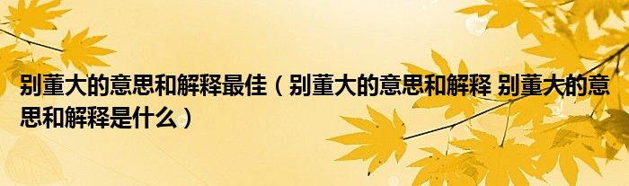 别董大的意思和解释最佳（别董大的意思和解释 别董大的意思和解释是什么）