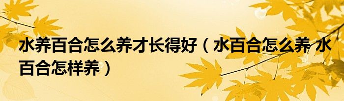 水养百合怎么养才长得好（水百合怎么养 水百合怎样养）