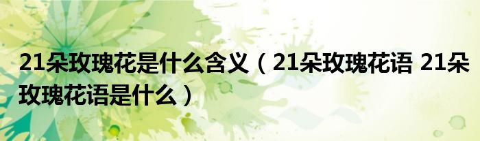 21朵玫瑰花是什么含义（21朵玫瑰花语 21朵玫瑰花语是什么）
