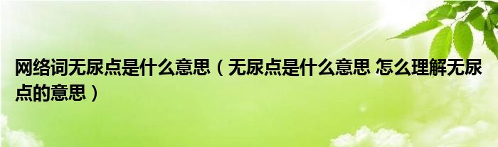 网络词无尿点是什么意思（无尿点是什么意思 怎么理解无尿点的意思）