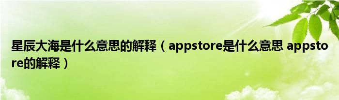 星辰大海是什么意思的解释（appstore是什么意思 appstore的解释）