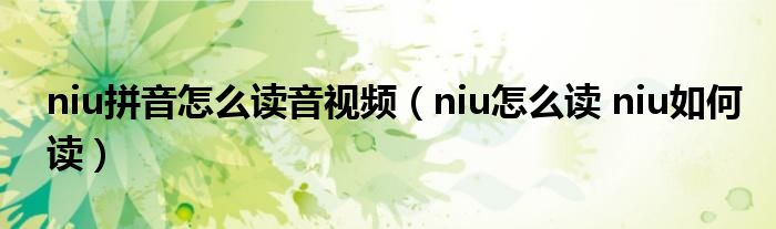 niu拼音怎么读音视频（niu怎么读 niu如何读）