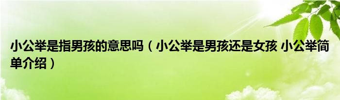 小公举是指男孩的意思吗（小公举是男孩还是女孩 小公举简单介绍）