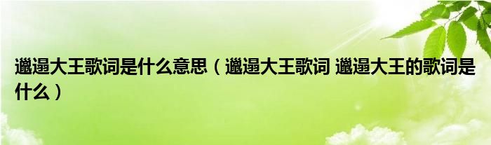 邋遢大王歌词是什么意思（邋遢大王歌词 邋遢大王的歌词是什么）