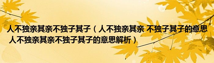 人不独亲其亲不独子其子（人不独亲其亲 不独子其子的意思 人不独亲其亲不独子其子的意思解析）