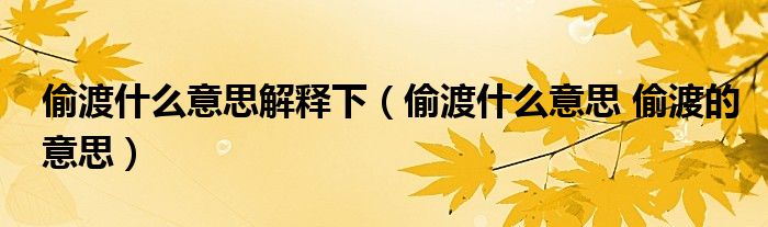 偷渡什么意思解释下（偷渡什么意思 偷渡的意思）